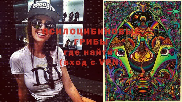 шишки Алзамай