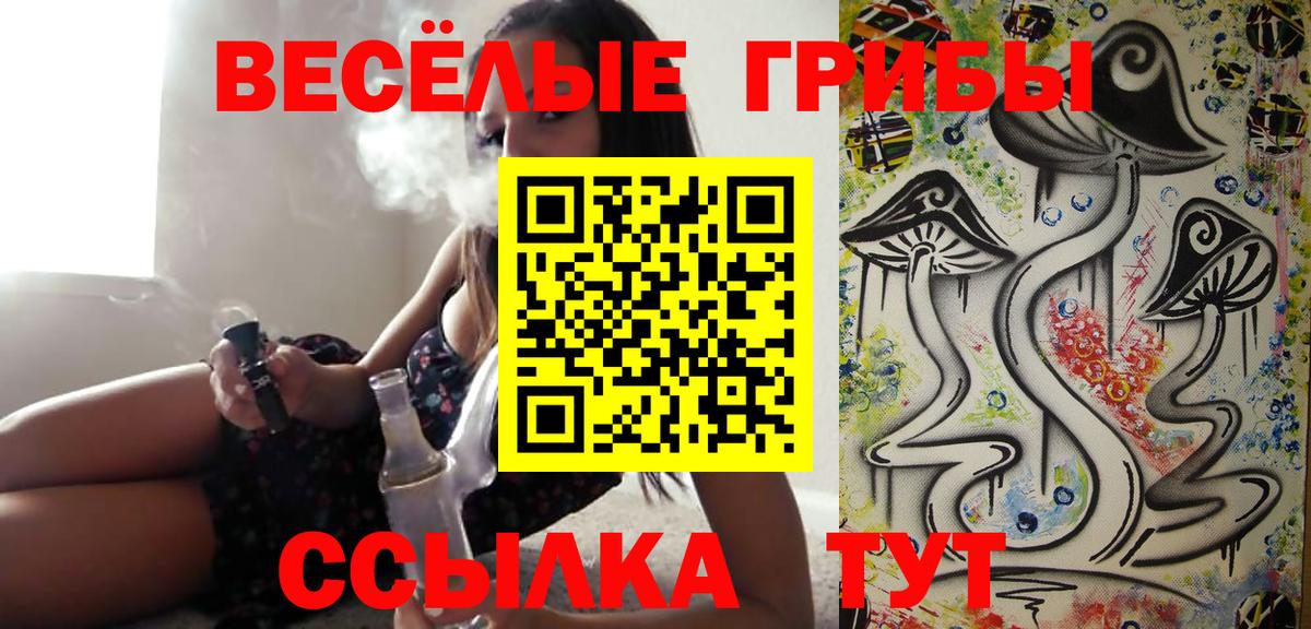 Галлюциногенные грибы Psilocybine cubensis Пермь